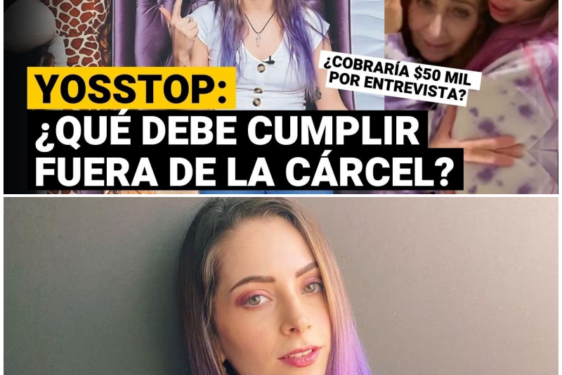El Siniestro Juego de la Fama: Cómo el Sarcasmo y la Soberbia Arrastraron a YosStop a la Prisión y a la Ruina Digital