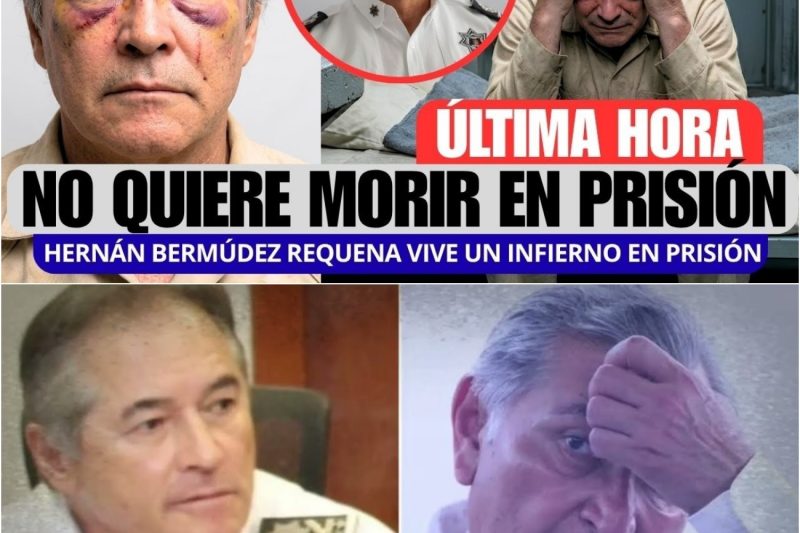 Así Vive Hernán Bermúdez En la Cárcel: De Colaborar con el CJNG a Suplicar Libertad