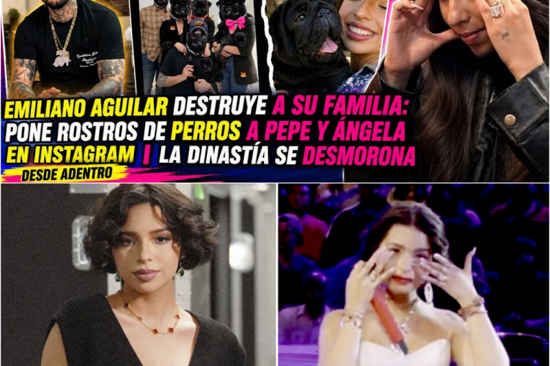La Dinastía en Ruinas: El Fotomontaje de Perros, el Escándalo del Pug y la Venganza Definitiva de Emiliano Aguilar junto a Cazzu