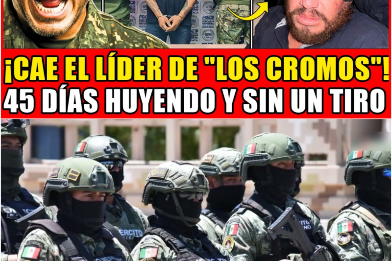 ¡DETONA OPERATIVO contra “LOS CROMOS”; CAE el JEFE N4RC0 BUSCADO por HOMIC1DI0!