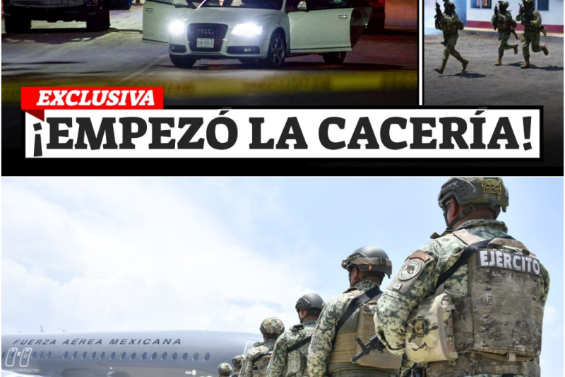 El Enigma del Peluche Rosa: La Macabra Firma que Aterroriza a Sinaloa y Desata un Terremoto Político en México