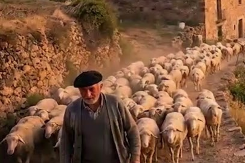 El Barón Solitario Tenía toda la Riqueza – Pero se Enamoró de la CHICA más POBRE de la Región