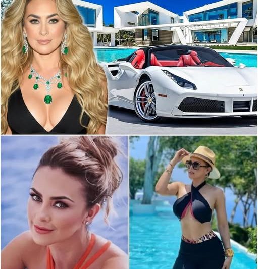 El Imperio Secreto de Aracely Arámbula en 2025: Entre Mansiones de Ensueño, Negocios Millonarios y el Verdadero Significado de la Riqueza