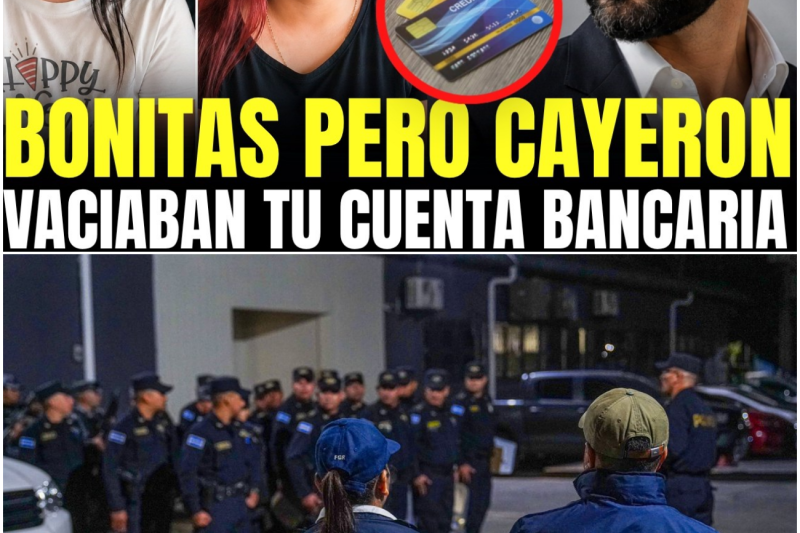 El Atraco Invisible: Desarticulan la Red de Ciberdelincuentes que Vaciaba Cuentas Bancarias Mediante la Trampa del “Efecto Espejo”