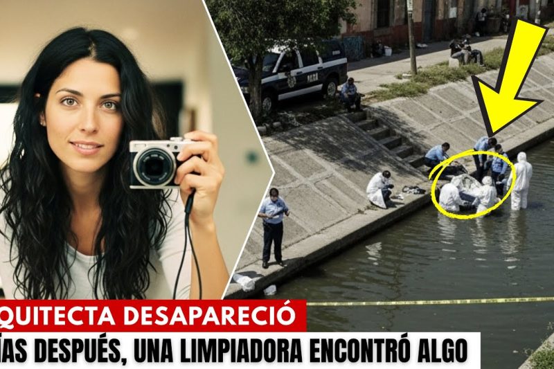Arquitecta desapareció en 2014 en su apartamento hasta que una limpiadora encontró algo sorprendente