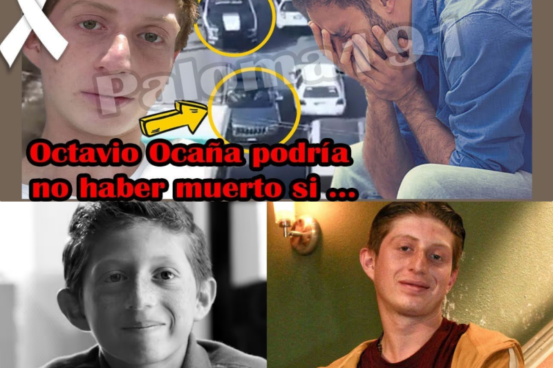 💥 El Aterrador Grito de Auxilio: Se Filtran los Desgarradores Mensajes del Acompañante de Octavio Ocaña Durante la Persecución Policial