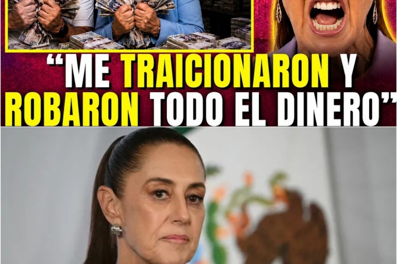 POR ESTO SHEINBAUM EXHIBE 10 FACTURERAS POR 2 MIL MILLONES ROBADOS