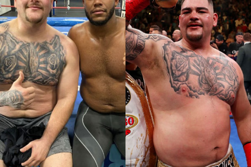 ANDY RUIZ JR: The DISGUSTING Truth Of What He Did To His Children