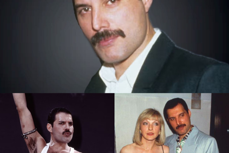 Más allá del santuario de Freddie Mercury: La compleja doble realidad de Mary Austin tras tres décadas de silencio en Garden Lodge