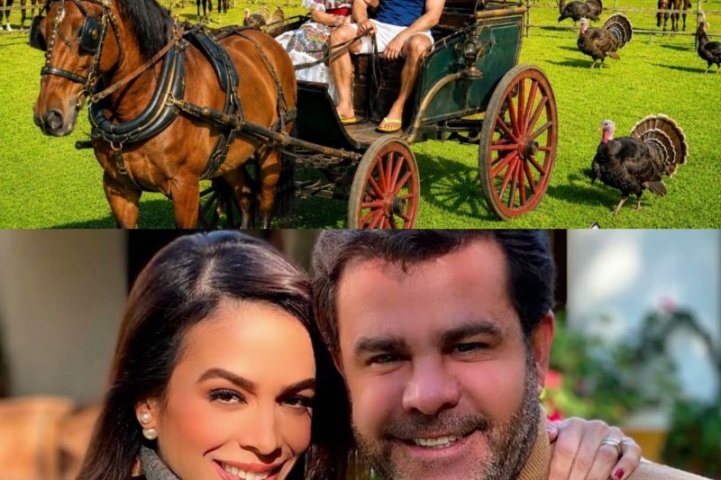 Eduardo Capetillo y su refugio en México : riqueza, amor y la presión de vivir bajo fama
