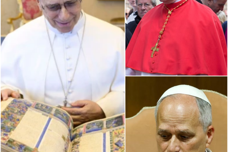 ÚLTIMA HORA: MÜLLER Nombra a los 4 OBISPOS que Desafían al Papa León XIV — La FSSPX en Shock