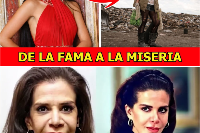 Del éxito al olvido total: La cruda realidad de las estrellas latinas que terminaron en la calle