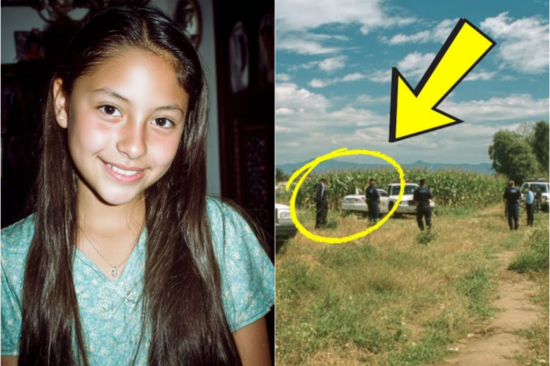 Niña desapareció en 2003 en un campo de maíz – 2 días después, camionero encontró algo perturbador