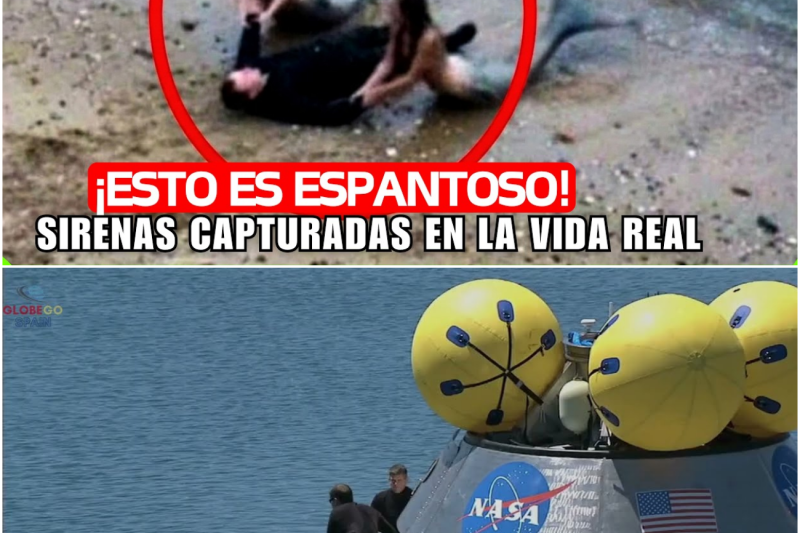 Los Misterios Insondables del Océano: Entre el Fenómeno Viral, el Mito Humano y la Verdadera Majestuosidad de las Profundidades