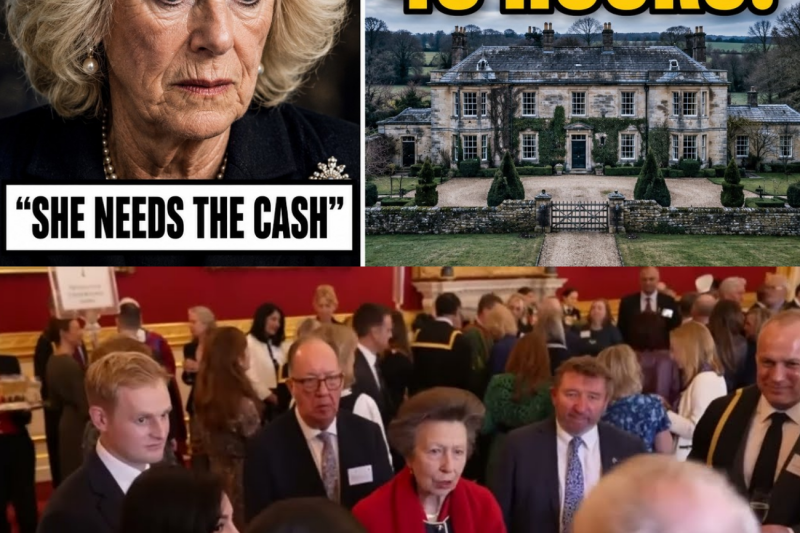 Guerra en Buckingham: El plan maestro de Guillermo y la princesa Ana que acorrala a Camila y redefine el legado de Diana de Gales
