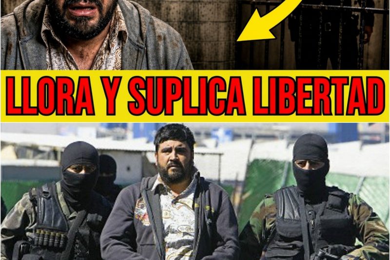 Así Vive El Mochomo en la Cárcel: De Socio de El Chapo a Pudrirse con Él en el Hoyo