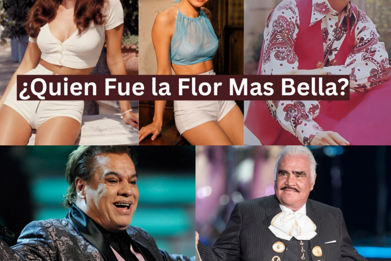 Voces que marcaron una era: Los 40 cantantes que definieron la nostalgia de los años 70