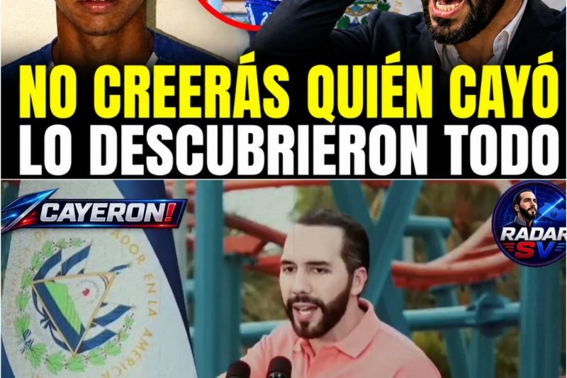 ATENCIÓN MEGAOPERATIVO: UNA CARA CONOCIDA ENTRE LOS DETENIDOS