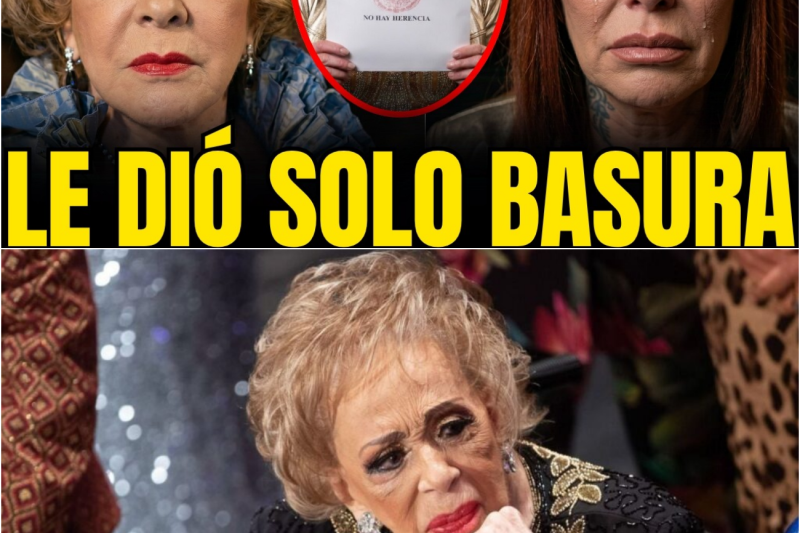 SILVIA PINAL: La quitó del TESTAMENTO Antes de MORIR… y así DESTRUYÓ a SU HIJA para SIEMPRE