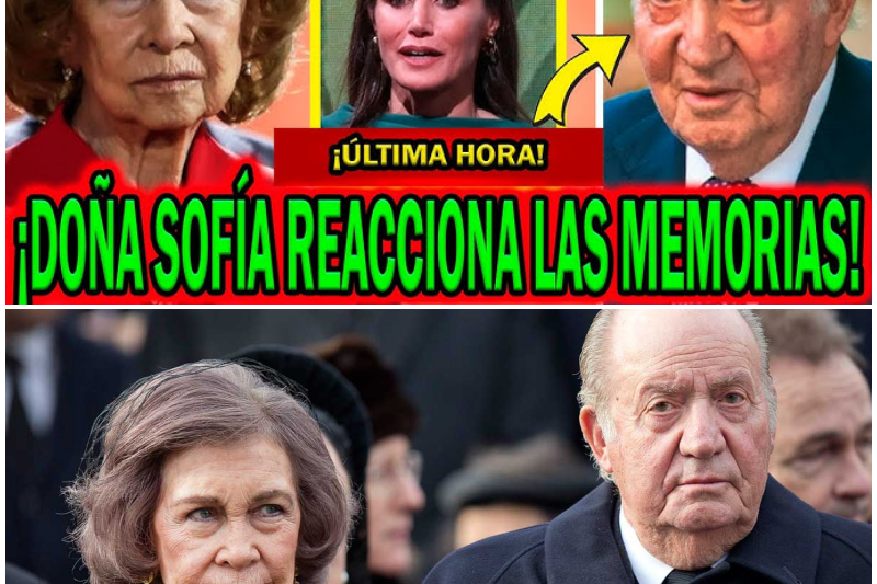 Zarzuela bajo fuego: La guerra silenciosa y los secretos devastadores detrás de la relación entre Juan Carlos I y la Reina Letizia