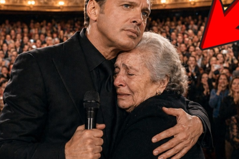 Luis Miguel DETUVO la Canción a Mitad del Show Cuando Vio a una Anciana Siendo Sacada por Seguridad