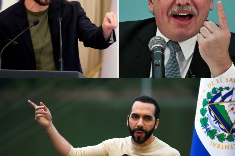 El Colapso de un Relato: Cómo una Carpeta de Pruebas y una Sola Palabra Desmantelaron la Red de Alberto Fernández