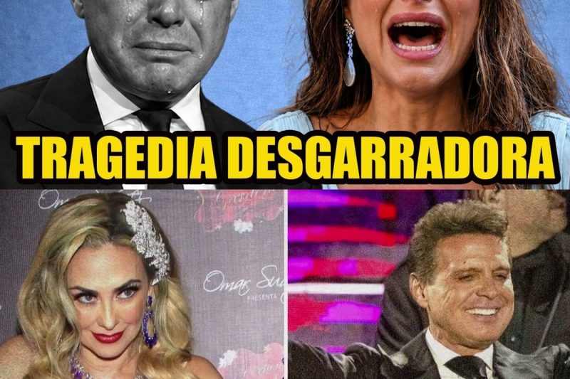 ras 22 años de matrimonio, Luis Miguel confesó: “¡Fue una pesadilla, no la vida!” tl