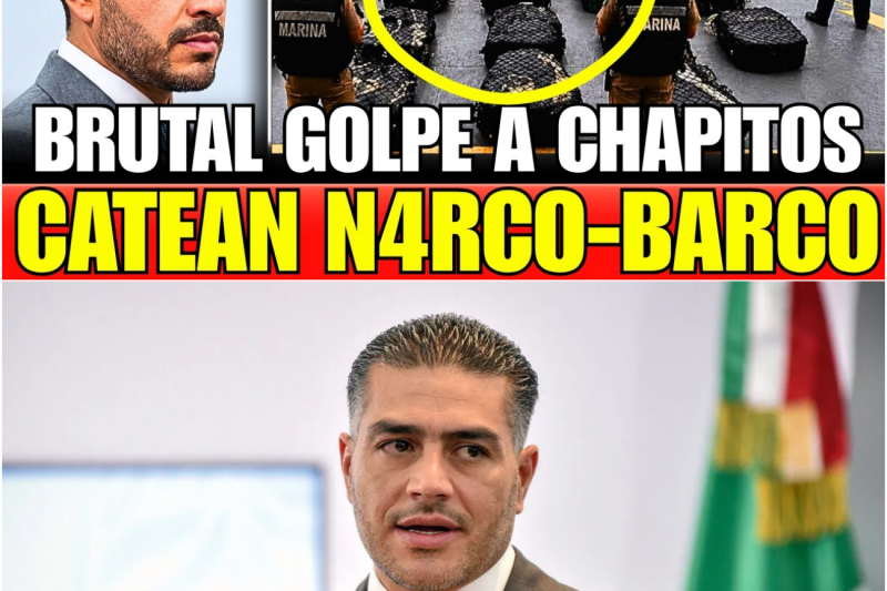 ¿El colapso de la ruta del Pacífico? Análisis del histórico cerco marítimo al narcotráfico en las costas de Guerrero