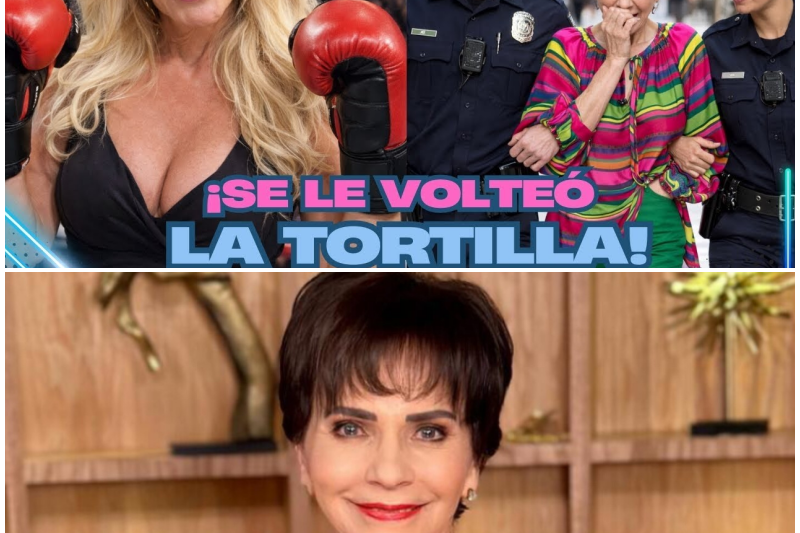 ¡ESCÁNDALO EN LA FARÁNDULA! Pati Chapoy Enfrenta Devastadora Demanda Mientras Olivia Collins Desenmascara la Cruel Traición Contra Maribel Guardia
