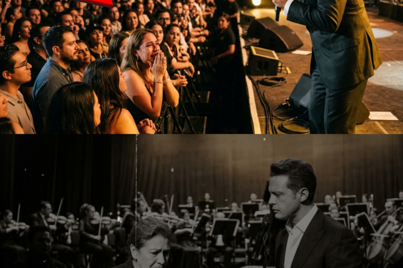 Luis Miguel DETUVO la Canción Cuando Escuchó a una Mujer Llorar en Primera Fila