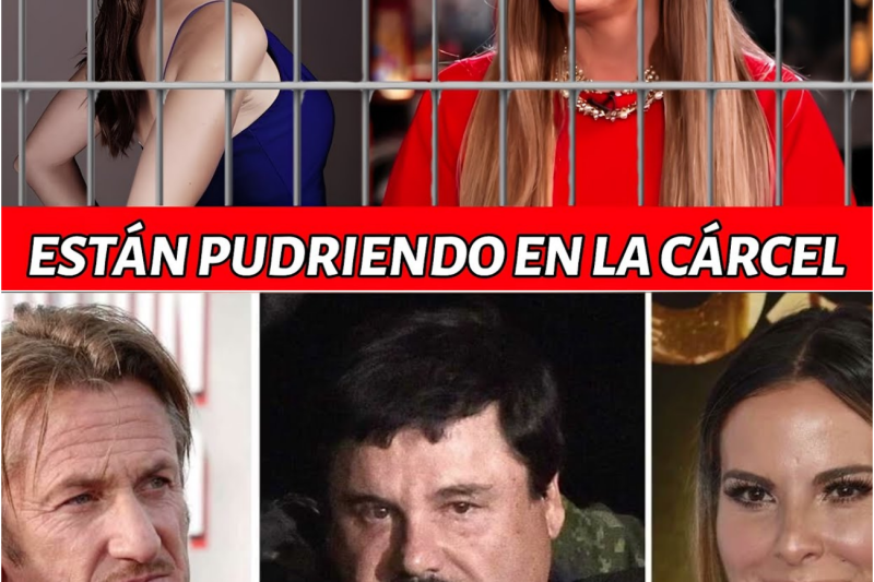 El Ocaso de los Ídolos: Las Estrellas Mexicanas que Cambiaron el Glamour por el Escándalo y las Rejas