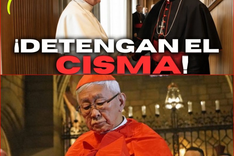 El GRITO de los FIELES: ¡una CARTA al CARDENAL y a LEÓN para detener el CISMA de la FSSPX!