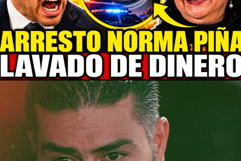 ¡HARFUCH ARRESTA la LAVADORA de DINERO de NORMA PIÑA; NOTARIO HUYE con BOLSAS de DINERO!