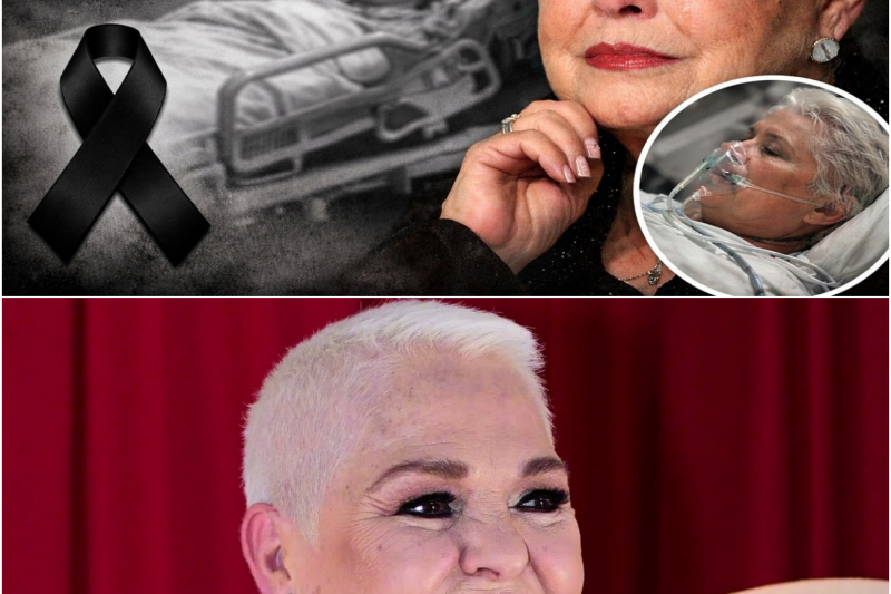 Lupita D’Alessio a los 72 años: La verdad detrás del silencio que está transformando su historia