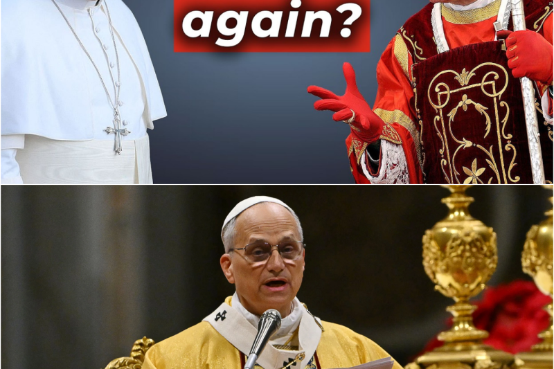 El veneno de la polarizacion: El Papa Leon XIV advierte que la division y el desprecio mutuo destruyen la fe y secan la sociedad contemporanea