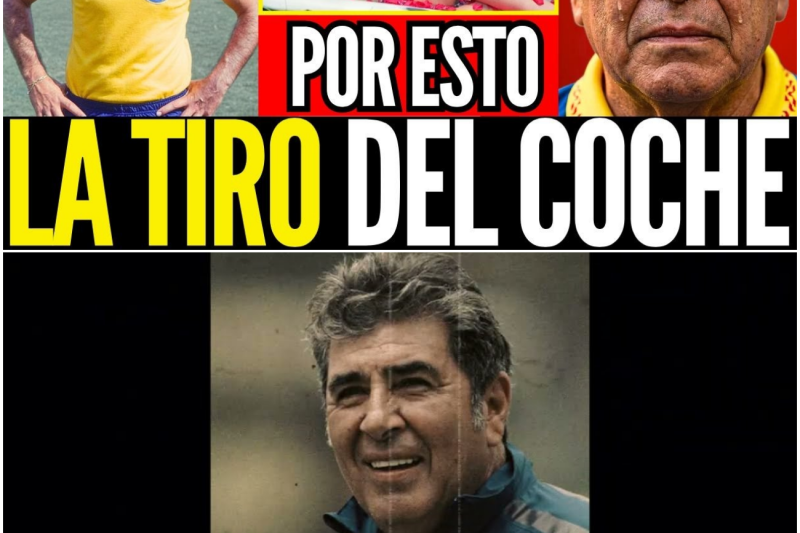 CARLOS REINOSO: CONFESÓ POR QUÉ EMPUJÓ A VERÓNICA CASTRO Y DESTRUYO A LA LEONA DORMIDA
