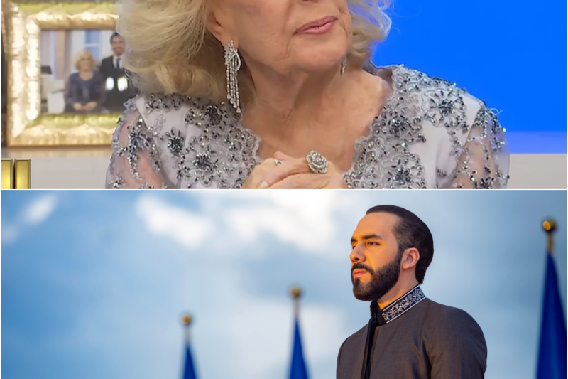 Mirtha Legrand Retó a Bukele en Vivo… y se Quedó SIN PALABRAS