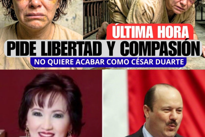 De Primera Dama a una Litera de Metal: La Caída de Berta Gómez Fong y el Millonario Saqueo a Chihuahua