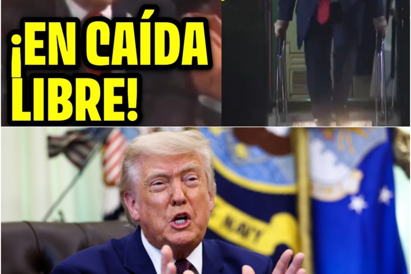 Análisis de una jornada de contrastes: Entre la polémica en el Madison Square Garden y los desafíos de la política internacional de Donald Trump