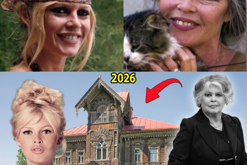El mito indomable de Brigitte Bardot: entre el clamor de sus cuatro matrimonios, el acoso mediático y el misterioso retiro que conmocionó al mundo