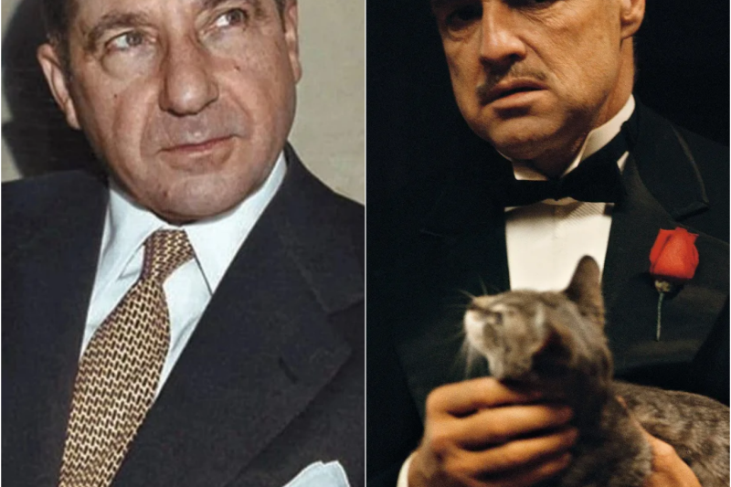 FRANK COSTELLO: El Mafioso que inspiró a Vito Corleone