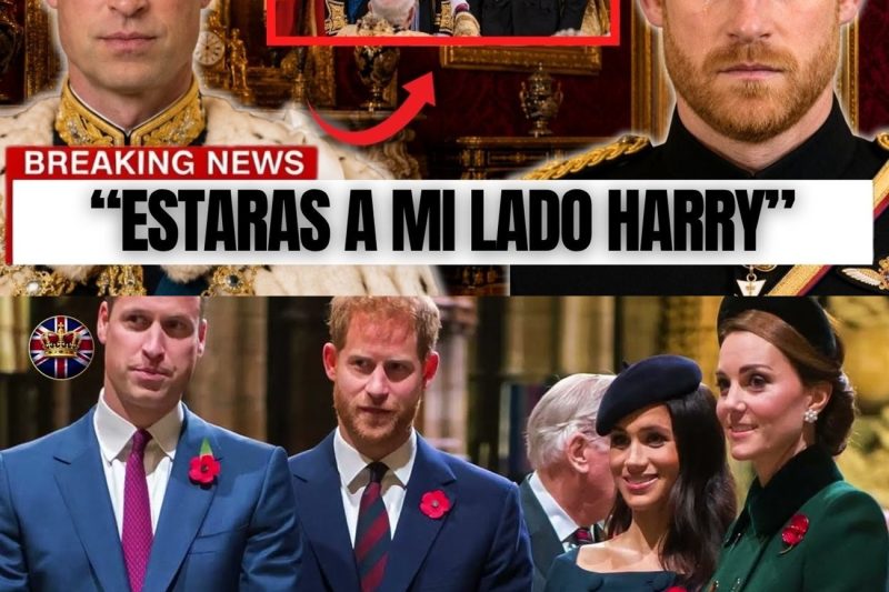 William le revela a Harry qué papel tendrá en la coronación “Párate a mi lado. No detrás. A mi lado” tl