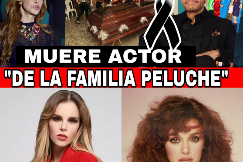 Luto en la televisión mexicana: El adiós a un pilar de ‘La Familia P. Luche’ y el estado de salud de Lucía Méndez