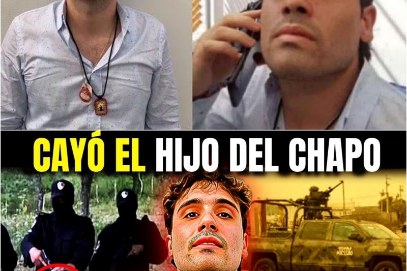 La Historia Real de Ovidio Guzmán