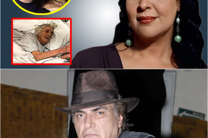 El Trágico Destino de Mayra Alejandra: La Leyenda de las Telenovelas que Murió Luchando en el Más Profundo Silencio
