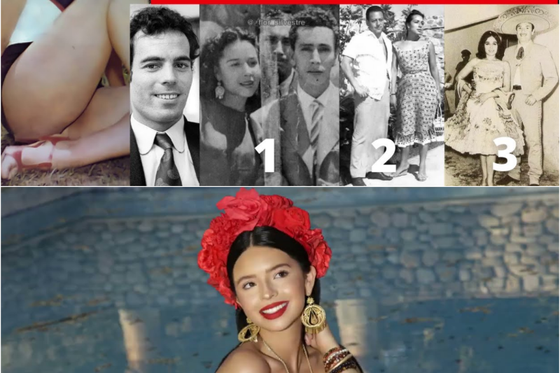 La Reina y sus Sombras: Los Tres Matrimonios, la Pérdida de sus Hijos y los Celos por Julio Iglesias que Marcaron la Vida de Flor Silvestre
