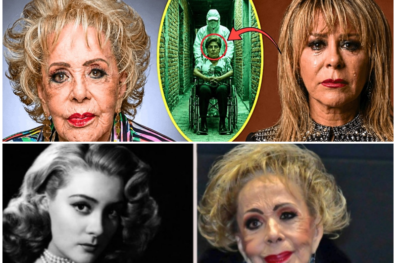 El Último Acto de Silvia Pinal: Los 200 Millones, el Testamento Secreto y la Culpa que Destruyó a la Dinastía
