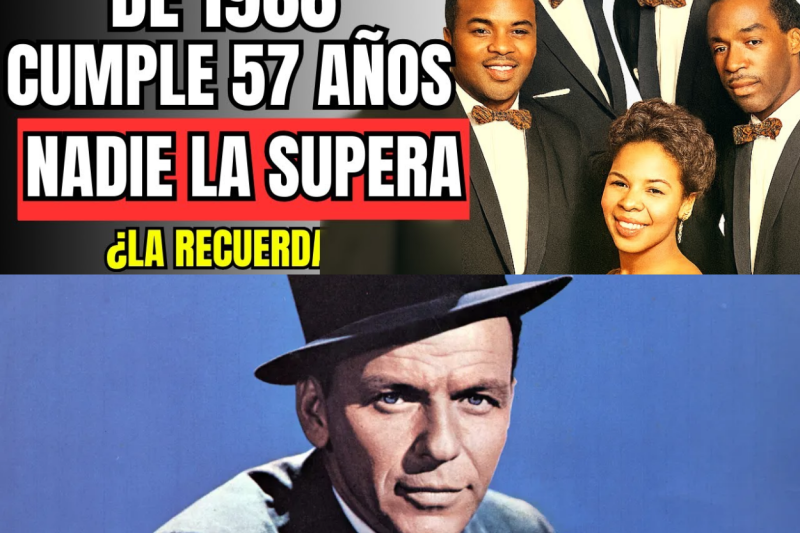 ¿Alguna vez te has preguntado por qué las canciones de los años 50 y 60 parecen haber sido escritas directamente para tu corazón? No es casualidad. Desde la voz seductora de Frank Sinatra hasta el ritmo imparable de Elvis Presley, esta época definió la banda sonora de nuestras vidas. En este artículo exclusivo, revivimos los 14 éxitos que marcaron una generación y que, aunque pasen las décadas, siguen sonando igual de frescas. Es hora de hacer un viaje en el tiempo y recordar esos momentos inolvidables. ¿Estás listo para reencontrarte con tu pasado? Haz clic en el enlace para leer nuestra nota completa en los comentarios. 🎶✨