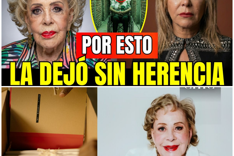 El Último Acto de Silvia Pinal: Los 200 Millones, el Testamento Secreto y la Culpa que Destruyó a la Dinastía