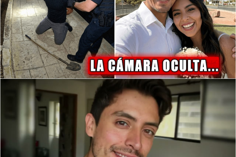 Lo Amaban Como A Un Hijo A Las 3am El Padre Abrió La Cámara Y No Pudo Creer Lo Que Vio